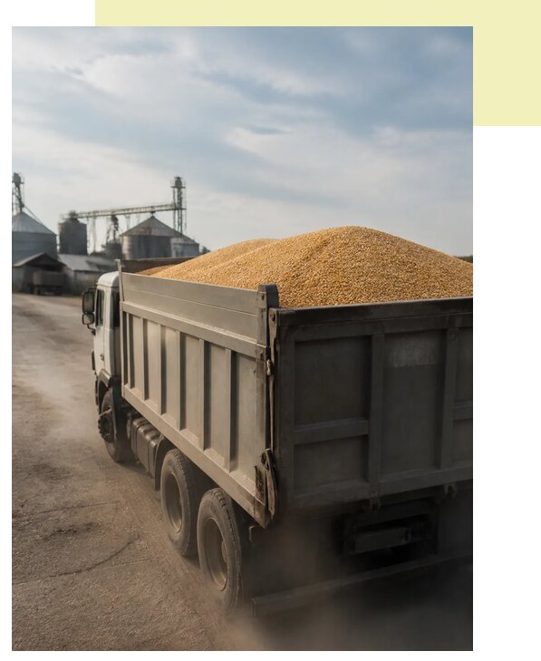 Перевозка сельхозпродукции навалом в Подольск по цене от 3125 р. | Агросервис-Пдл