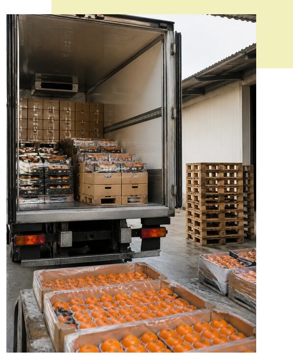 Перевозка хурмы рефрижератором в Подольск по цене от 5209 р. | Агросервис-Пдл
